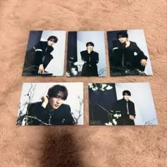 げんじぶ　桜木雅哉　生写真第53弾　コンプ