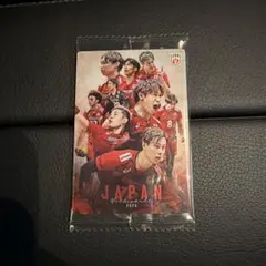 バレーボール男子　日本代表　ウエハース　スペシャル