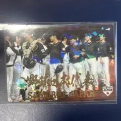 侍ジャパンチェックリスト　大谷翔平　2017 日本代表　レア