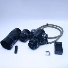 Item thumbnail for item 5c7349bf-2e78-4e45-960e-b75ebf0119b6