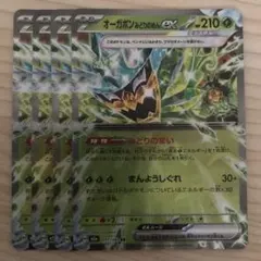ポケモンカード オーガポンみどりのめんex RR 4枚セット
