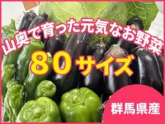農薬不使用　お野菜詰め合わせセット　80サイズ送料込みのサムネイル