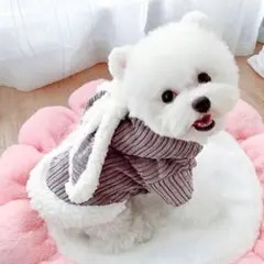 ペット服 犬 いぬ ロンパース 冬服 モコモコ うさ耳パーカー M 犬の服