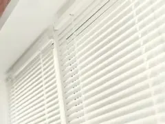 Item thumbnail for item cf5decf1-1c3e-44e4-b648-802ec4c61bc4