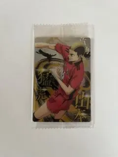 ハイキューカード 山本猛虎