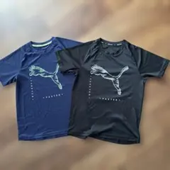 PUMA 半袖Tシャツ FOREVER FASTER 2枚セット