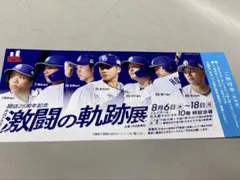どらどら様 リクエスト 3点 まとめ商品