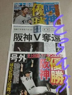 阪神タイガース 優勝 記念 新聞 阪神 号外 2025年9月7日 3紙