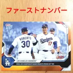 世界117点限定 大谷翔平 MLB ドジャース 入団記念フォトフレーム 世界117点限定 大谷翔平 MLB ドジャース 入団記念フォトフレーム