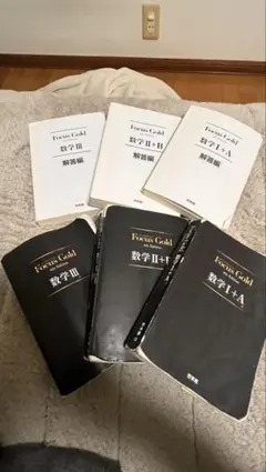 Focus Gold 数学 III 数学 II+B 数学 I+A
