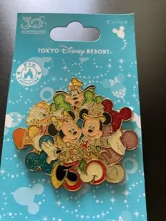 東京ディズニーリゾート 30周年 ピンバッジ