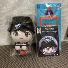 BTS TinyTANタイニータンモアプラスぬいぐるみ ジョングク