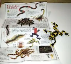 海洋堂　有毒危険動物大全 キオビヤドクガエルのサムネイル