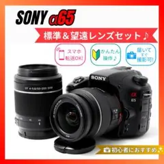 2026年最新】sony α65の人気アイテム - メルカリ
