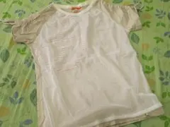カステルバジャック　メッシュ家紋デザインTシャツ：1のサムネイル