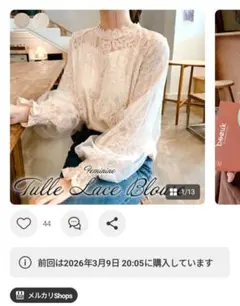 レース長袖ブラウス ライトベージュ　Ｌ