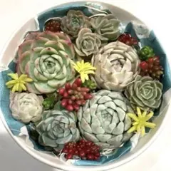 norichan様 リクエスト 5点 まとめ商品