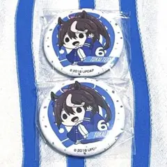 ウマ娘 プリティーダービー『トウカイテイオー ふとんむし缶バッジコレクション』