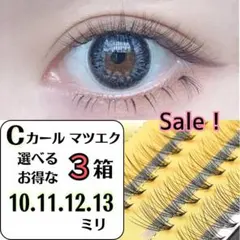 Item thumbnail for item 48636dd6-69a6-4b83-80f9-cbace15e65fd