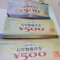 ヤマダデンキお買い物優待券 ¥500×3枚