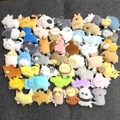 【即日発送】全48種フルコンプリートセット／つぶらな瞳の動物園エール（YELL）