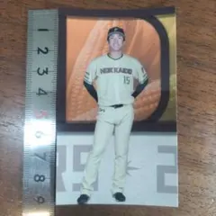 北海道日本ハムファイターズ プロ野球カード