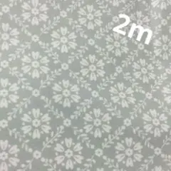 2m 生地