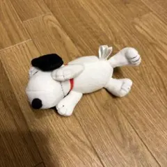 usj スヌーピー　ぬいぐるみ