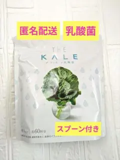 本日着 キューサイ THE KALE ザ・ケール＋乳酸菌 粉末タイプ 420g 