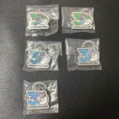 ポケモン30周年　メタルチャームめじるしアクセサリー【個別購入可】