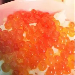 チャチャ様専用