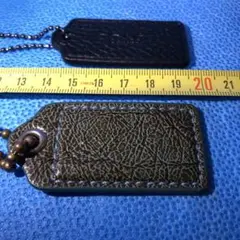 Item thumbnail for item 1452db66-2b8f-43a9-b228-d304e5e5486e