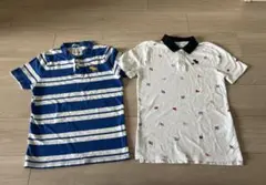 Abercrombie ポロシャツ2枚セット
