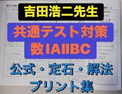 最新版 駿台 テキスト 満点への共通テスト数学 池谷哲先生 鉄緑会 河合塾 最新版 駿台 テキスト 満点への共通テスト数学 池谷哲先生 鉄緑会