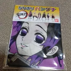 鬼滅の刃 胡蝶しのぶ キャラクターグッズ