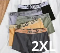 【2XL】ボクサーパンツ 5枚セット　前閉じ 新品