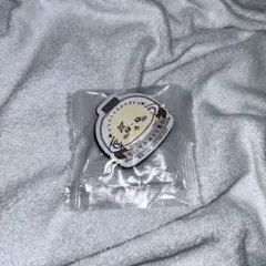 くら寿司 ちいかわ びっくらポン マグネット ラッコ　ハチワレ