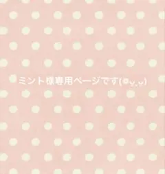 ミント様専用ページです(❁ᴗ͈ˬᴗ͈)