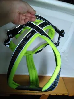 Item thumbnail for item ab80801b-79d6-41bf-866a-595e2182f73d