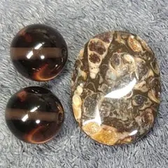 B118　フォッシルクリノイド　アイスオブシディアン