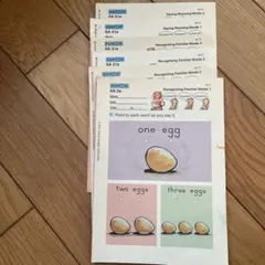 ピカチュウ様 リクエスト 3点 まとめ商品