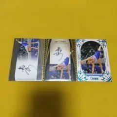 Item thumbnail for item 8191394f-9ee6-4432-93d4-70c238aad081