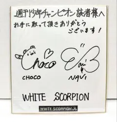 WHITE SCORPION CHOCO NAVI 最初期　直筆サイン 2026年最新】white scorpion サインの人気アイテム - メルカリ