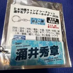 涌井秀章　アクリルスタンド 2026年最新】涌井秀章 アクスタの人気アイテム - メルカリ