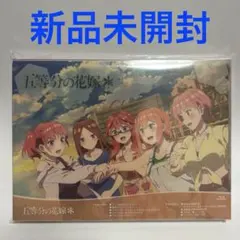 すとぷり すとぷりからの挑戦状 解明編 イラストカード 4種セット
