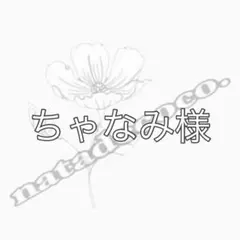 ちゃなみ様