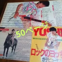 野村義男 切り抜き 50ページ