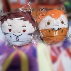 ハイキューふわコロりん5 日向翔陽＆天童覚ぬいぐるみ