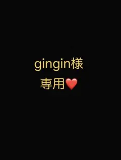 gingin様 リクエスト 2点 まとめ商品