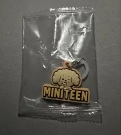 ミニティーン ぷっくりめじるしアクセサリー ドギョム